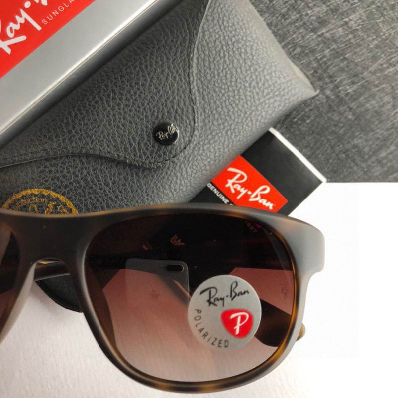 Rayban Glasses (267)